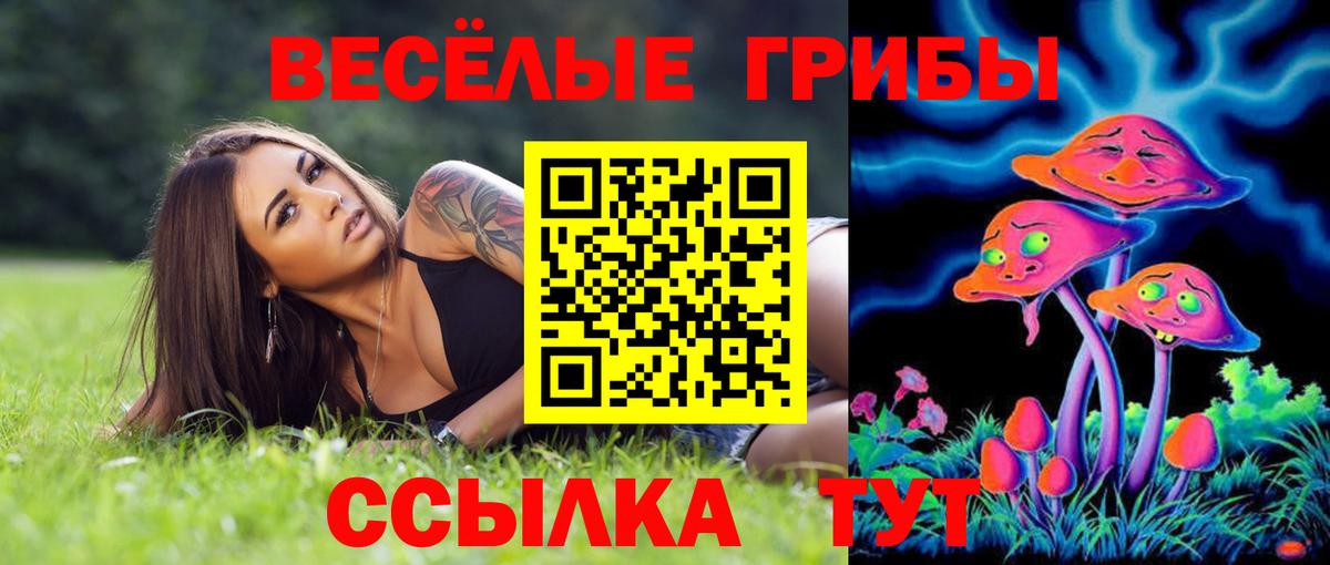 Псилоцибиновые грибы GOLDEN TEACHER Елабуга